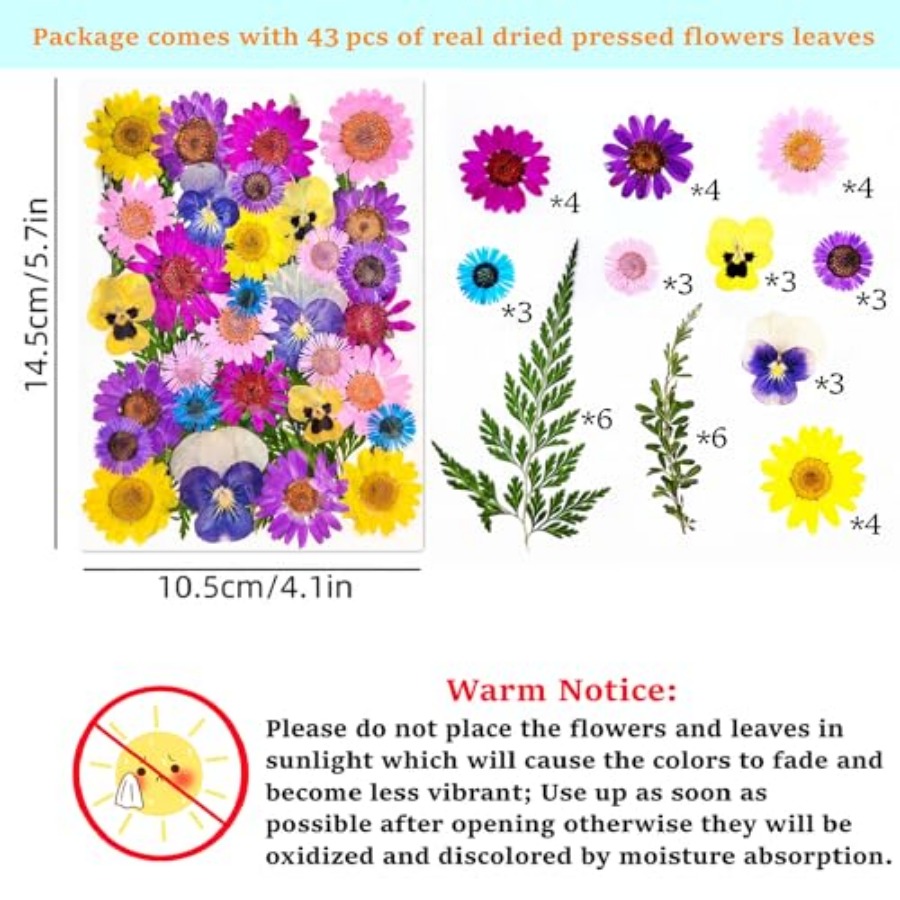 Cardstock Blank Bookmarks Set, - Dried Flower Bookmark 评论和价格